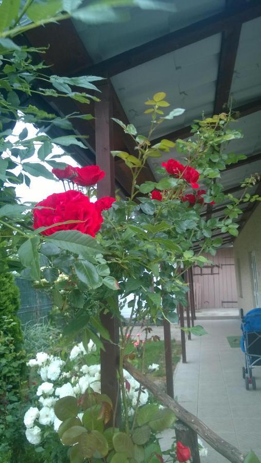 Casa Mamei スチャヴァ エクステリア 写真