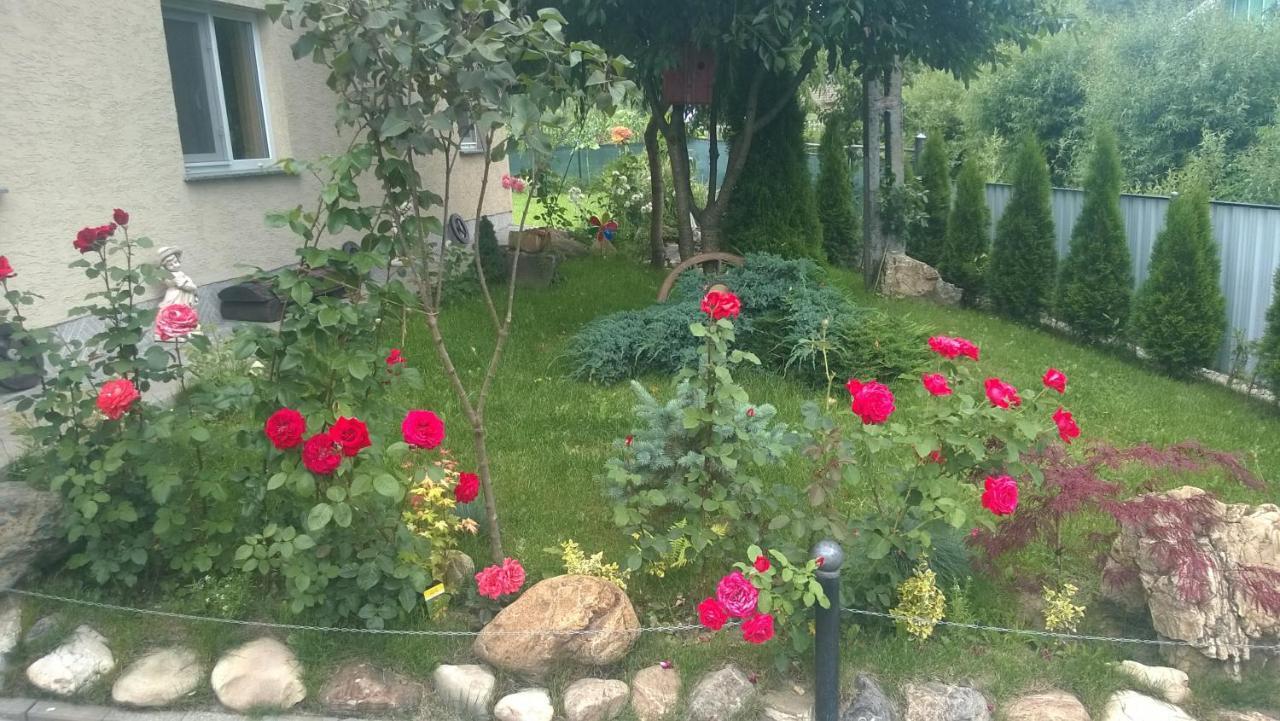 Casa Mamei スチャヴァ エクステリア 写真