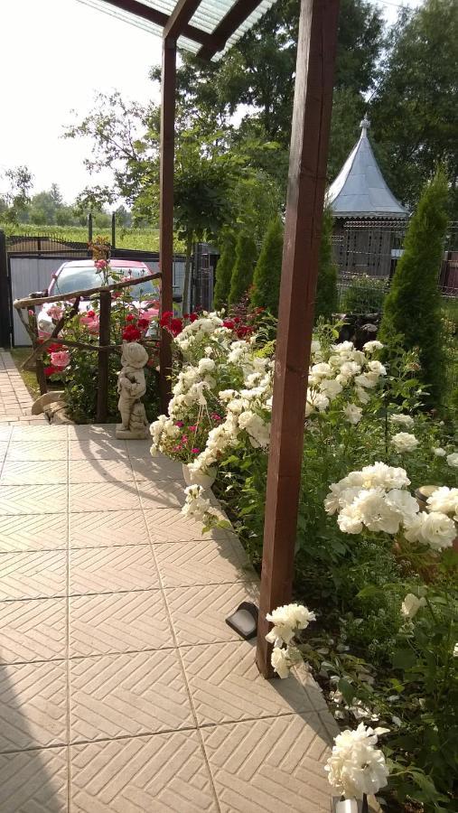 Casa Mamei スチャヴァ エクステリア 写真