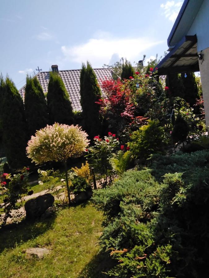 Casa Mamei スチャヴァ エクステリア 写真