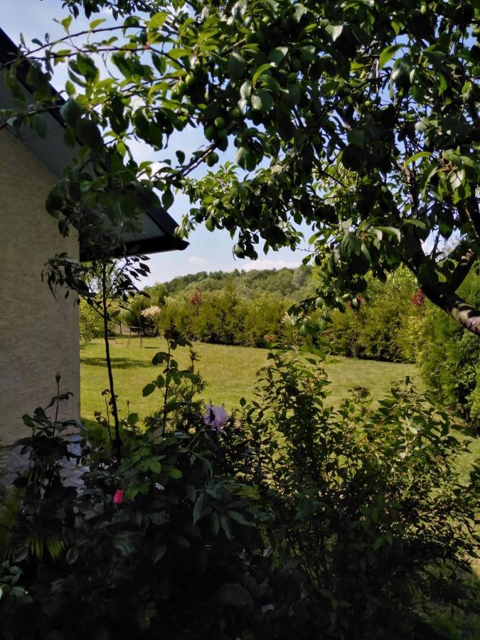 Casa Mamei スチャヴァ エクステリア 写真