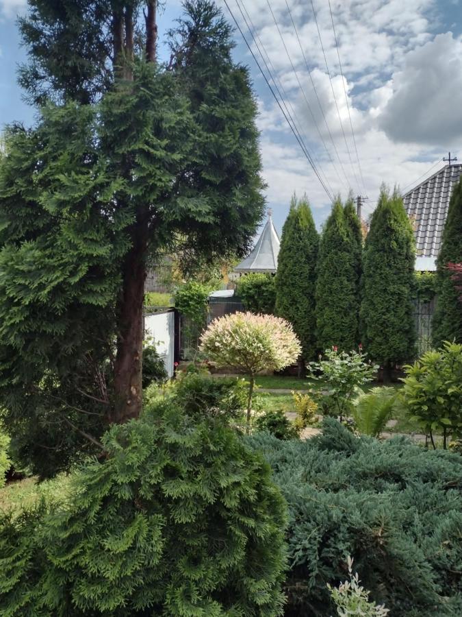 Casa Mamei スチャヴァ エクステリア 写真