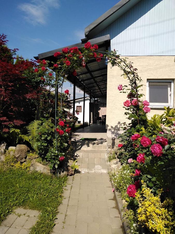 Casa Mamei スチャヴァ エクステリア 写真