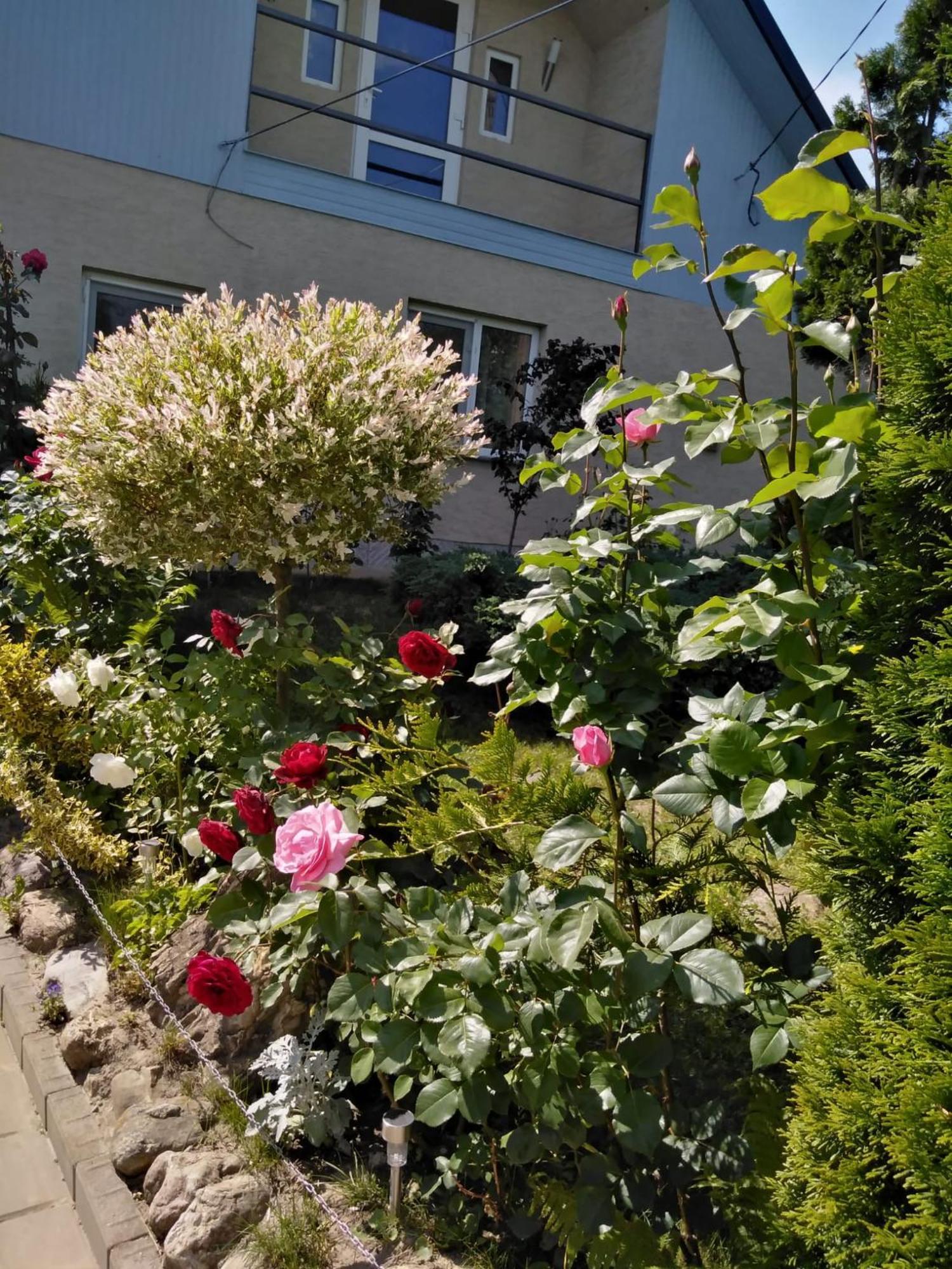 Casa Mamei スチャヴァ 部屋 写真