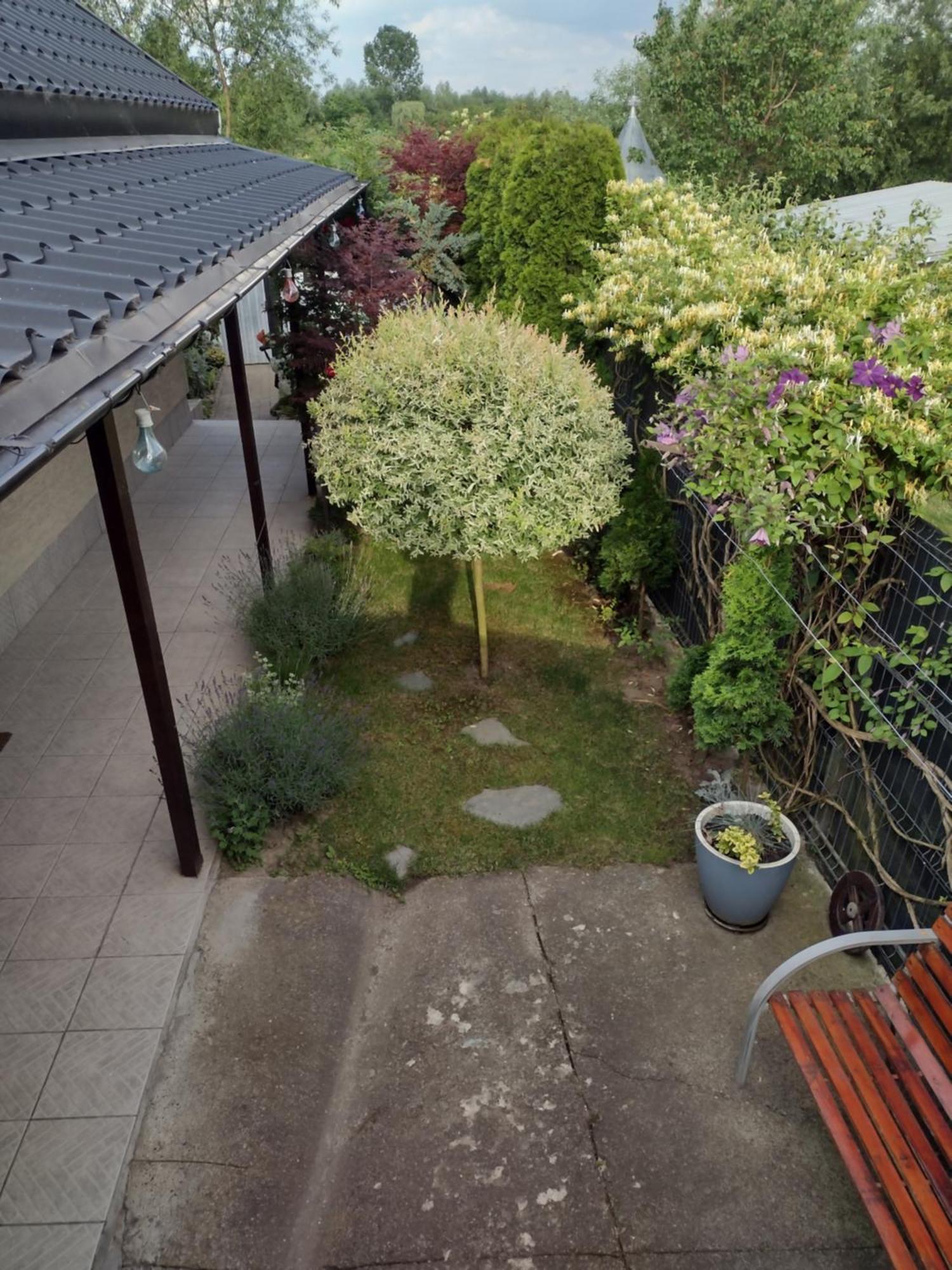 Casa Mamei スチャヴァ エクステリア 写真
